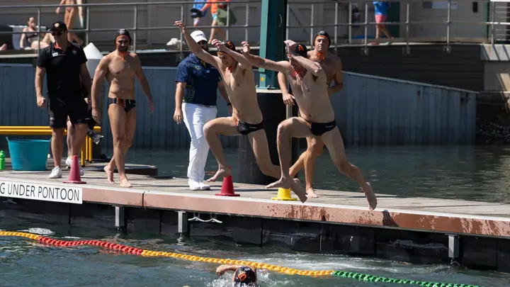 Diving in at Dawny