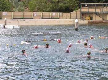 Club gallery, 2005 and 2006