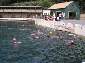 Club gallery, 2005 and 2006