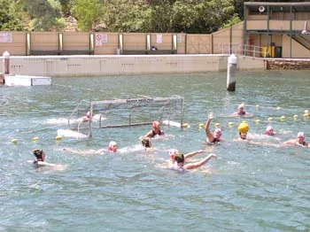 Club gallery, 2005 and 2006