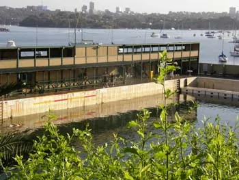 Dawny Challenge swim, November 2007